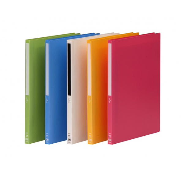 FLAT FILE & PAPER FILE